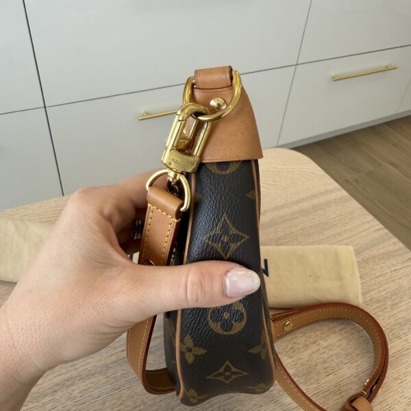 Louis Vuitton Monogram Loop