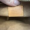 Louis Vuitton Monogram Loop