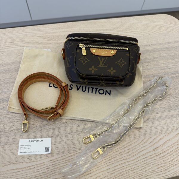 Louis Vuitton Monogram Mini Bumbag