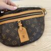 Louis Vuitton Monogram High Rise Bumbag