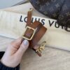 Louis Vuitton Monogram Loop