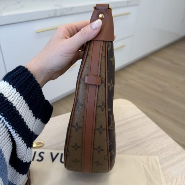 Louis Vuitton Monogram Loop