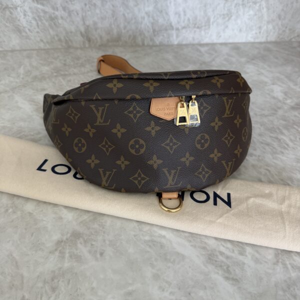 Louis Vuitton Monogram Bumbag