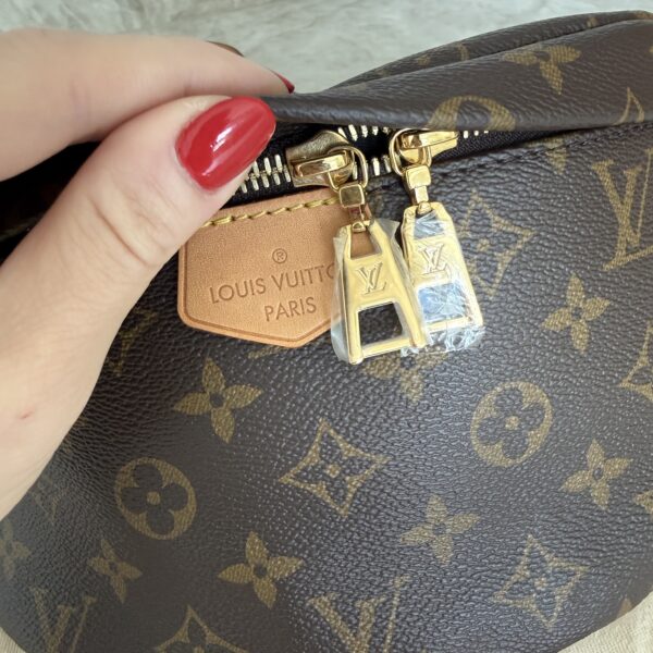 Louis Vuitton Monogram Bumbag