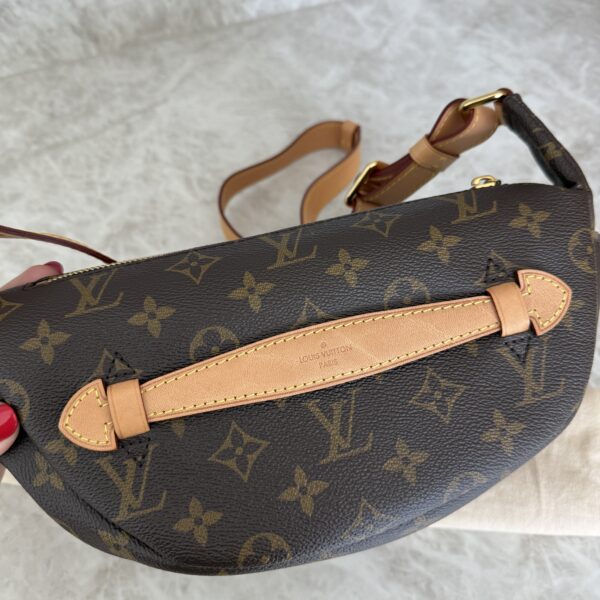 Louis Vuitton Monogram Bumbag