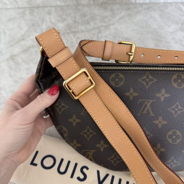 Louis Vuitton Monogram Bumbag