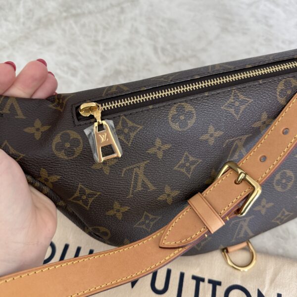 Louis Vuitton Monogram Bumbag