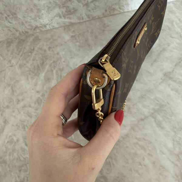 Louis Vuitton Monogram Eva