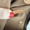 Louis Vuitton Monogram Eva