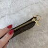 Louis Vuitton Monogram Mini Pochette Accessories