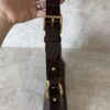 Louis Vuitton Damier Canvas Thames PM Bag