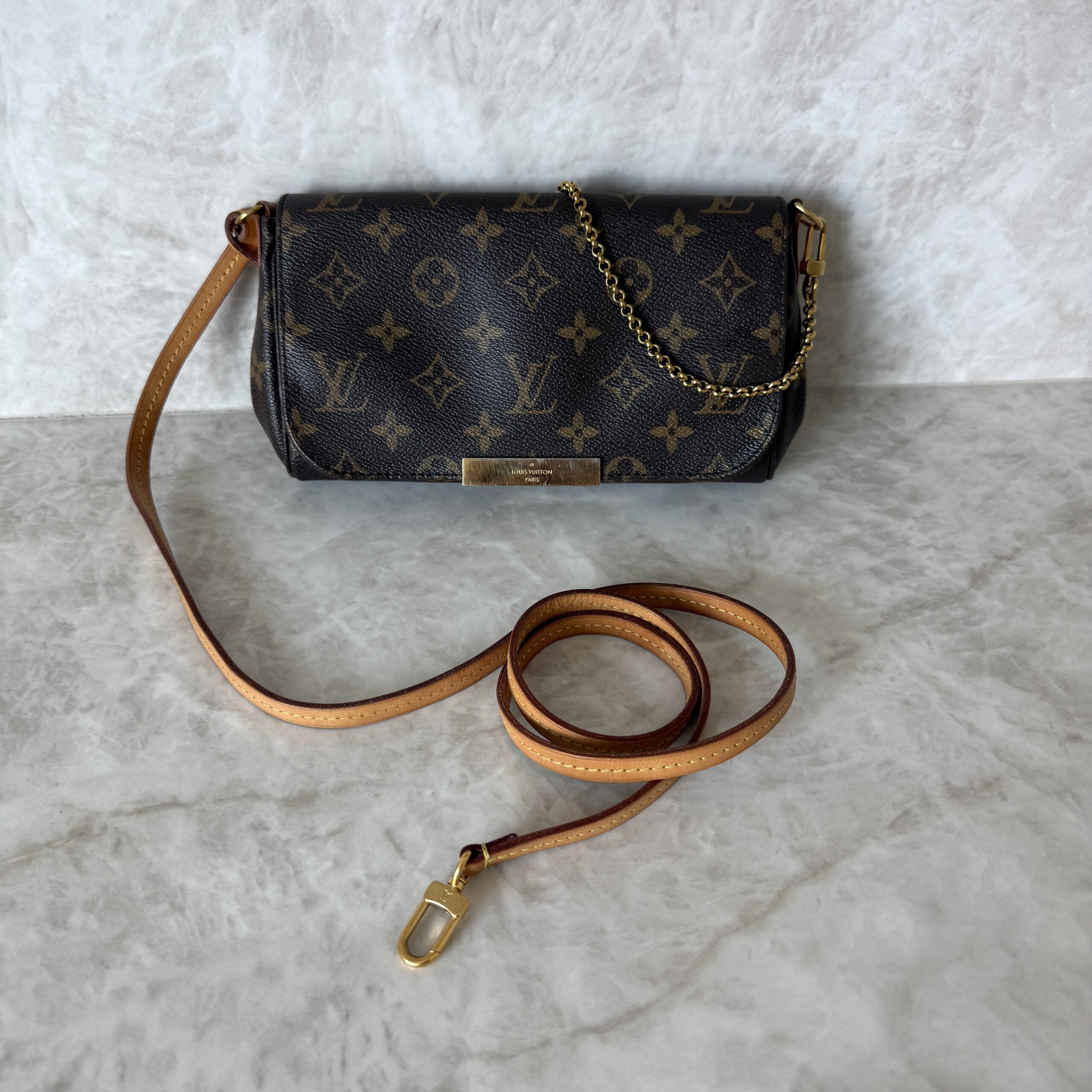 Louis Vuitton Monogram Favorite PM