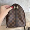 Louis Vuitton Damier Ebene Speedy 30 Bandouliere NM