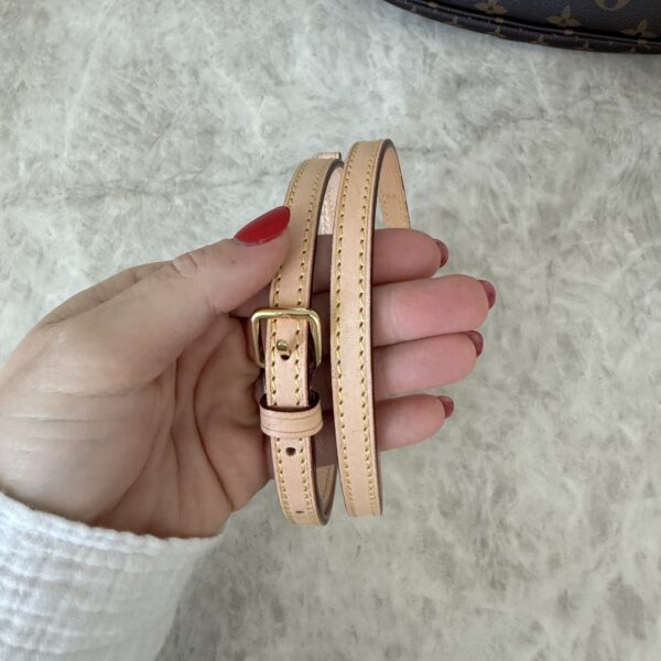 Louis Vuitton Monogram Multi Pochette Accessories Large Pochette