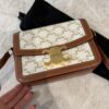 Celine Calfskin Triomphe Canvas Teen Triomphe Bag White