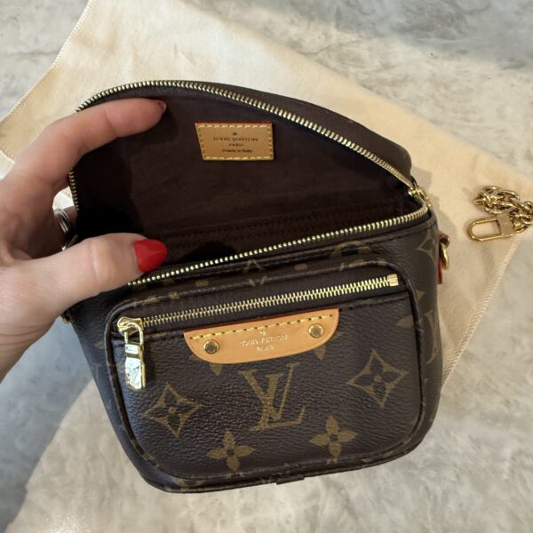 Louis Vuitton Monogram Mini Bumbag
