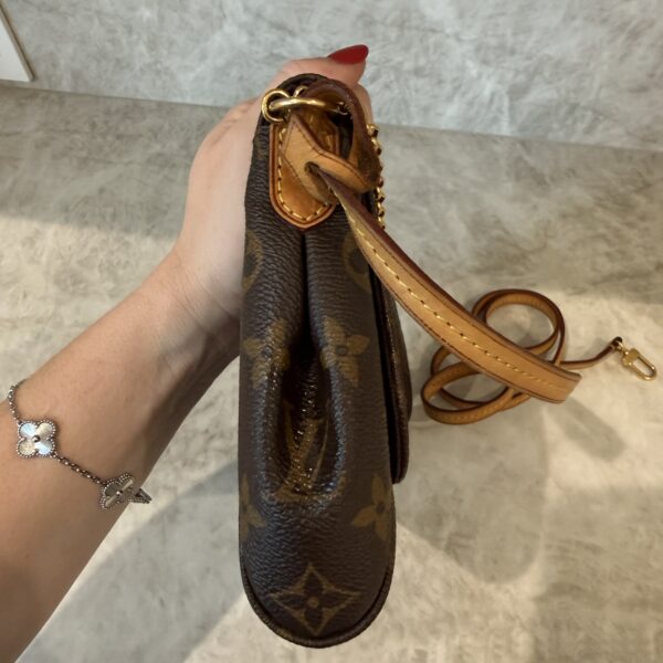 Louis Vuitton Monogram Favorite MM