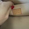 Louis Vuitton Monogram Nice BB