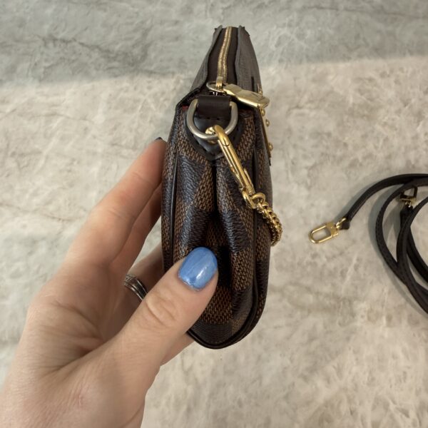 Louis Vuitton Monogram Eva