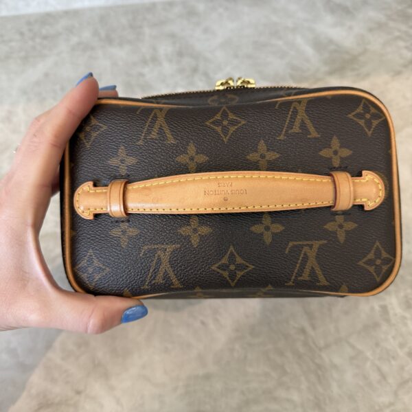 Louis Vuitton Monogram Nice Mini