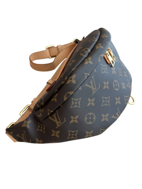 Louis Vuitton Monogram Bumbag