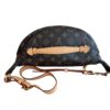 Louis Vuitton Monogram Bumbag