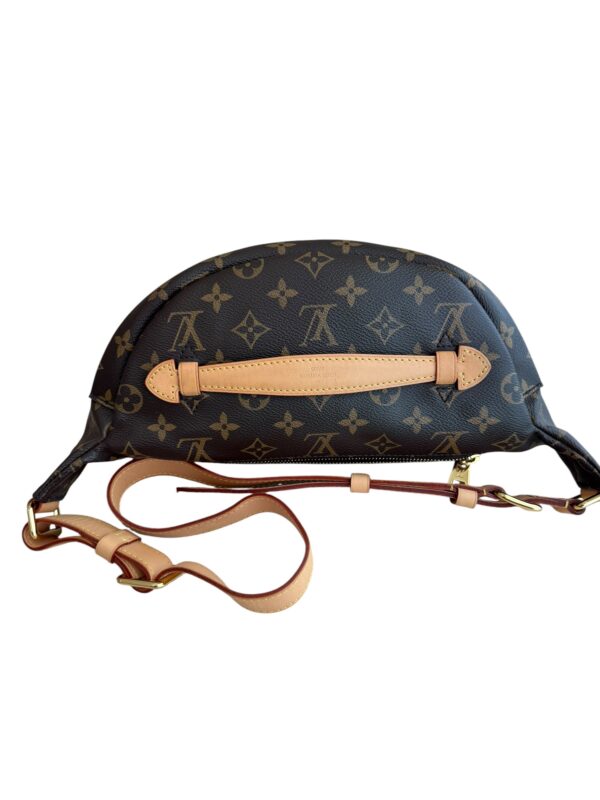 Louis Vuitton Monogram Bumbag