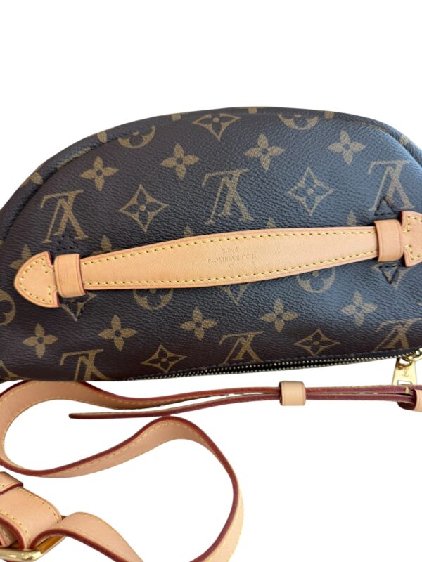 Louis Vuitton Monogram Bumbag