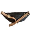 Louis Vuitton Monogram Bumbag