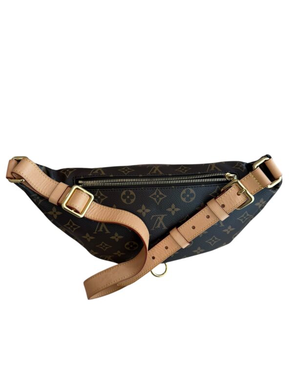 Louis Vuitton Monogram Bumbag