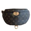 Louis Vuitton Monogram Bumbag