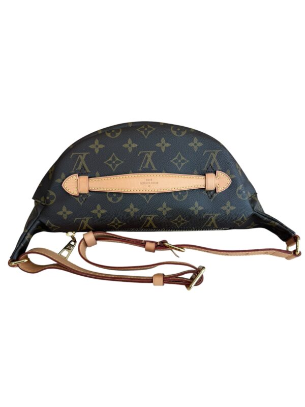 Louis Vuitton Monogram Bumbag
