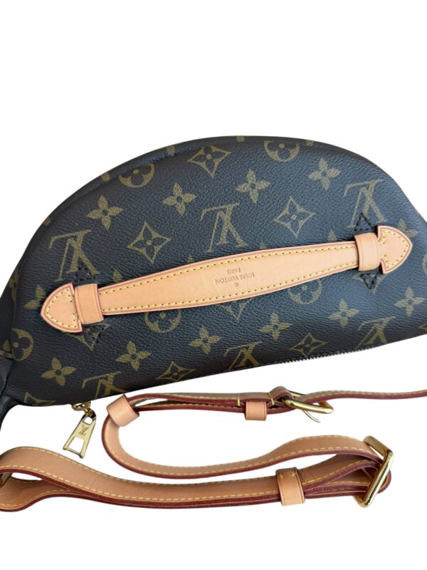 Louis Vuitton Monogram Bumbag