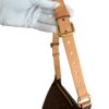 Louis Vuitton Monogram Bumbag