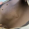 Louis Vuitton Monogram Eva