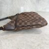 Louis Vuitton Damier Ebene Bloomsbury PM