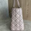 Christian Dior Iridescent Lambskin Cannage Medium Lady Dior Gold Hardware
