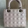 Christian Dior Iridescent Lambskin Cannage Medium Lady Dior Gold Hardware