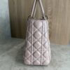 Christian Dior Iridescent Lambskin Cannage Medium Lady Dior Gold Hardware