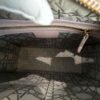 Christian Dior Iridescent Lambskin Cannage Medium Lady Dior Gold Hardware