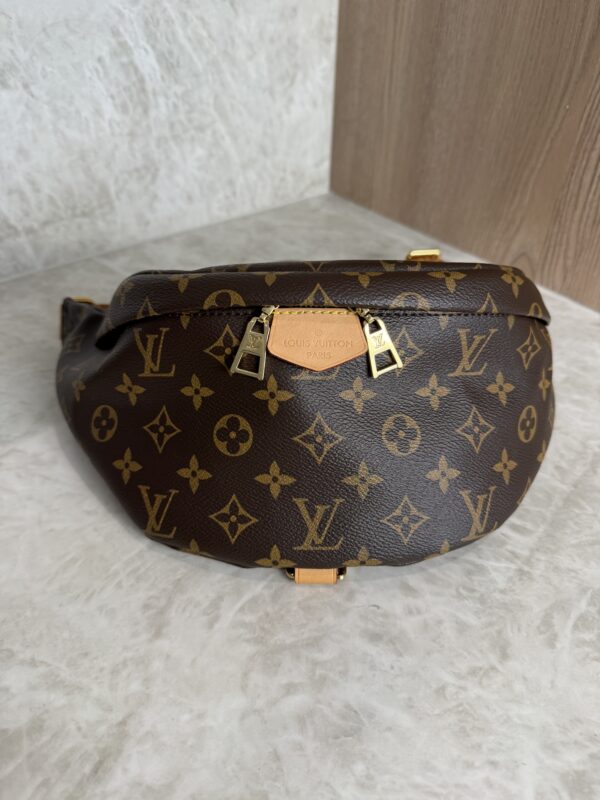 Louis Vuitton Monogram Bumbag