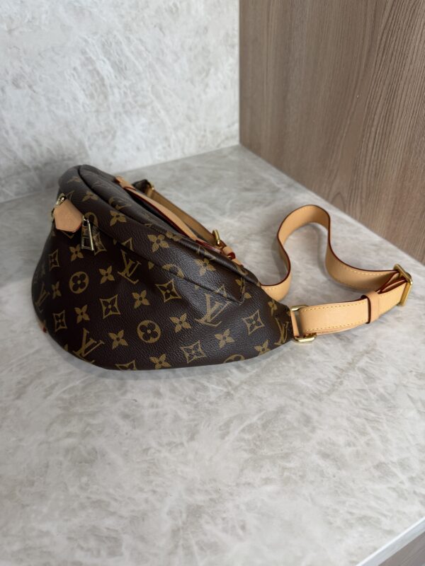 Louis Vuitton Monogram Bumbag