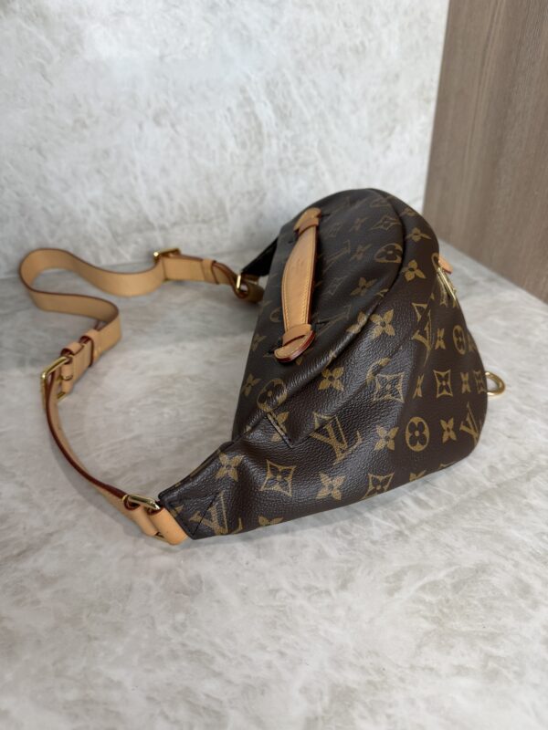 Louis Vuitton Monogram Bumbag