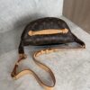 Louis Vuitton Monogram Bumbag