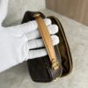 Louis Vuitton Monogram Utility Crossbody