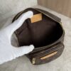 Louis Vuitton Monogram Mini Bumbag