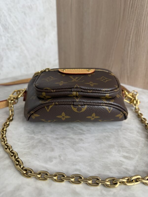 Louis Vuitton Monogram Mini Bumbag