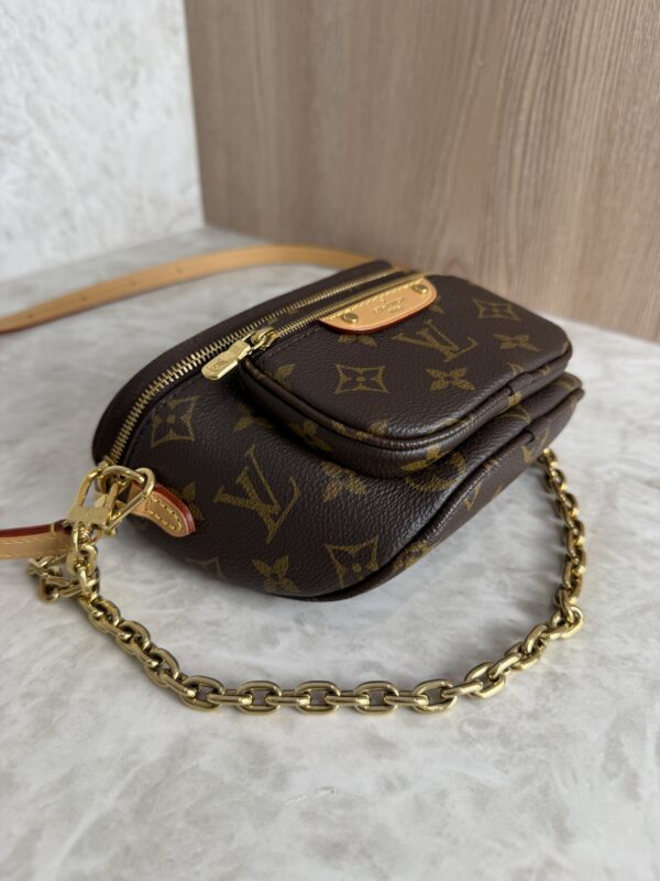 Louis Vuitton Monogram Mini Bumbag