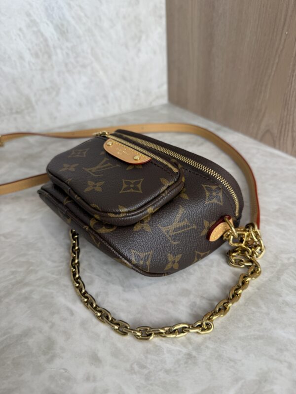 Louis Vuitton Monogram Mini Bumbag