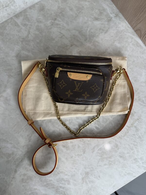 Louis Vuitton Monogram Mini Bumbag